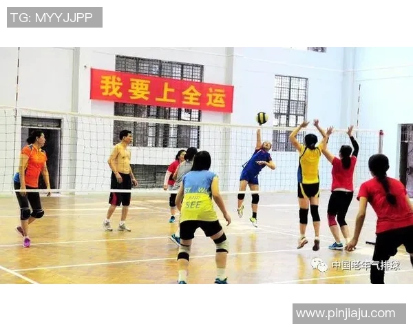 重庆篮球队的现状揭秘与未来展望全景分析