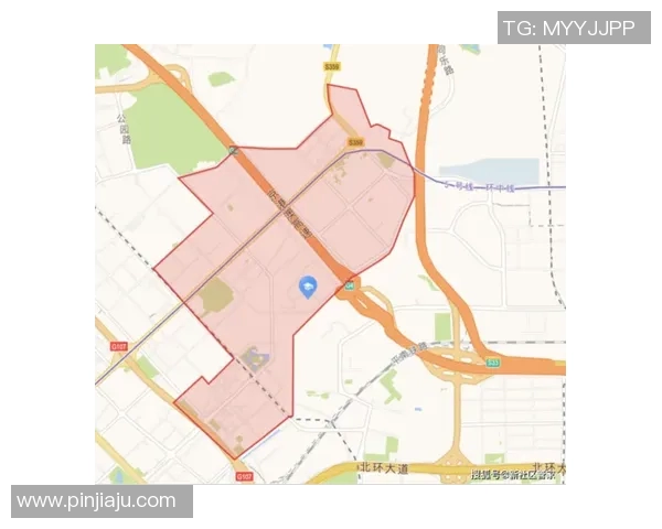 深圳网球队实力分析与发展潜力探讨及未来展望